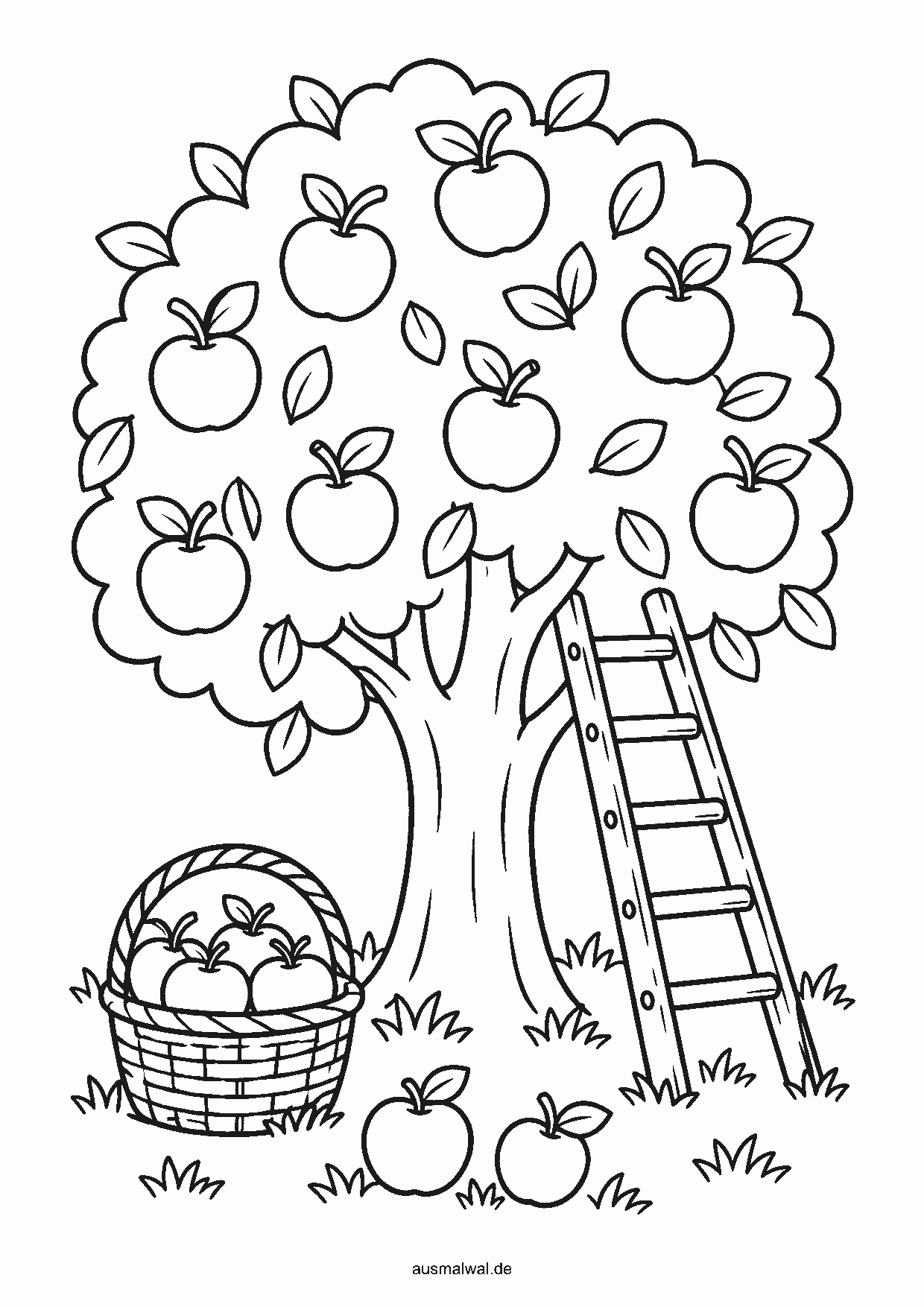 Ausmalbild: Apfelbaum voller Äpfel, darunter ein Korb und eine Leiter