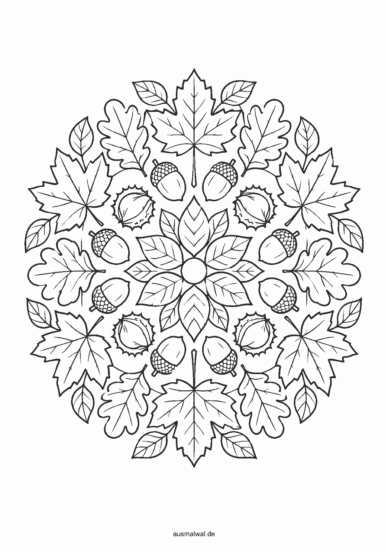 Ausmalbild: rundes Mandala aus Herbstblättern, Eicheln und Kastanien