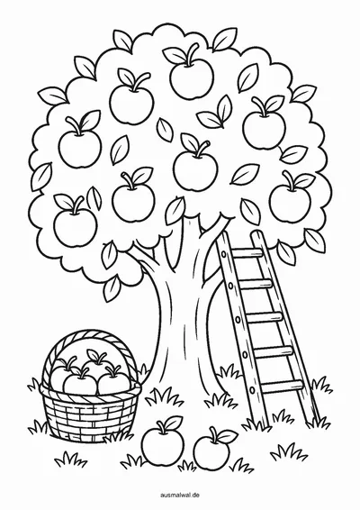 Ausmalbild: Apfelbaum voller Äpfel, darunter ein Korb und eine Leiter